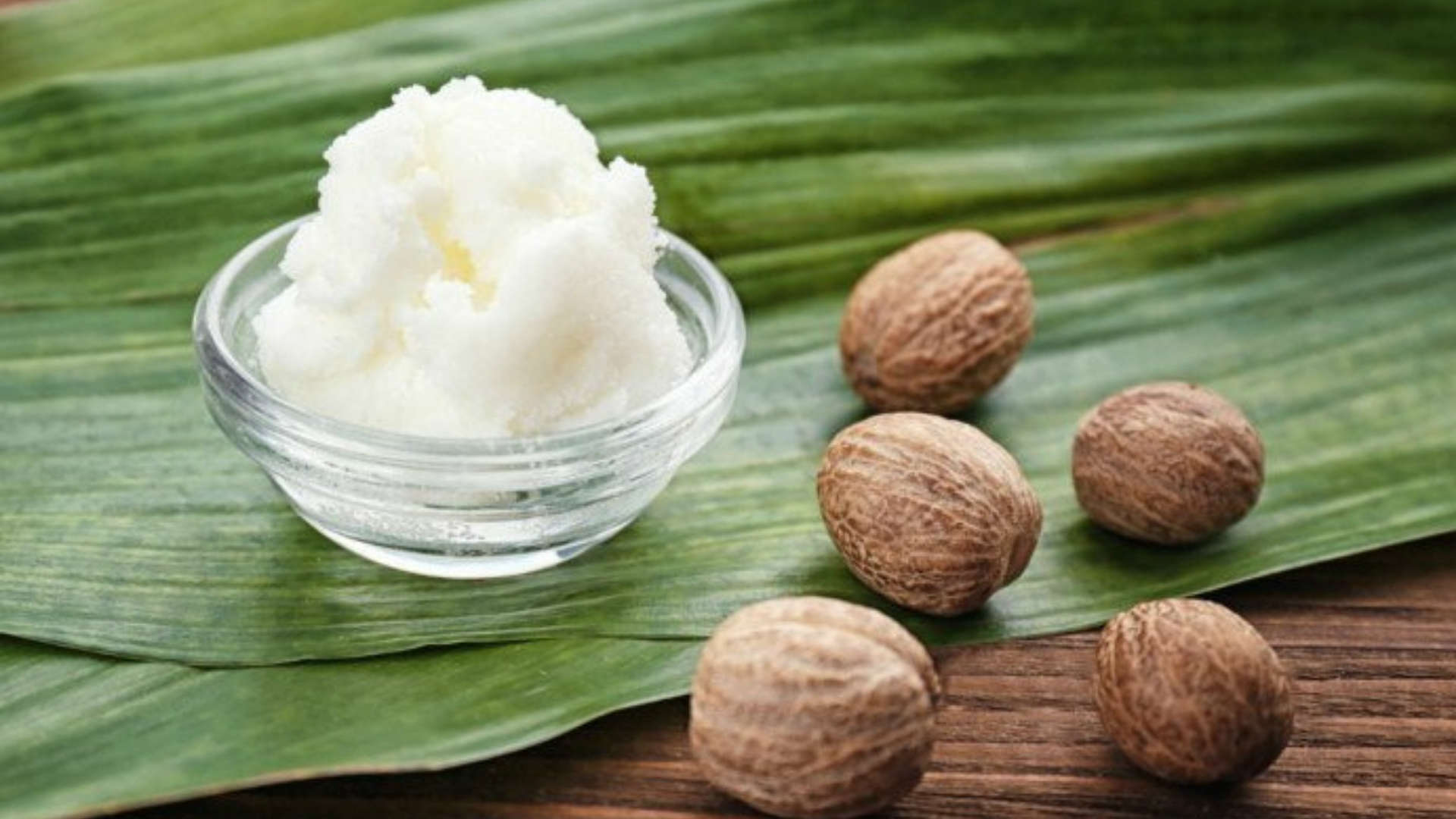Is Shea Butter Worth All the Hype? - Zosmetics