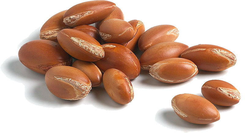 Argan Oil – Everything you need to know